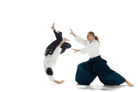 is aikido a real martial art? Does the concept of real martial arts even matter?